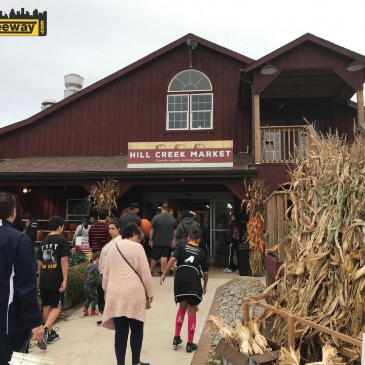 Hill Creek Farms featuring Fresh Market and Cafe: Fall Fun! Pics and…