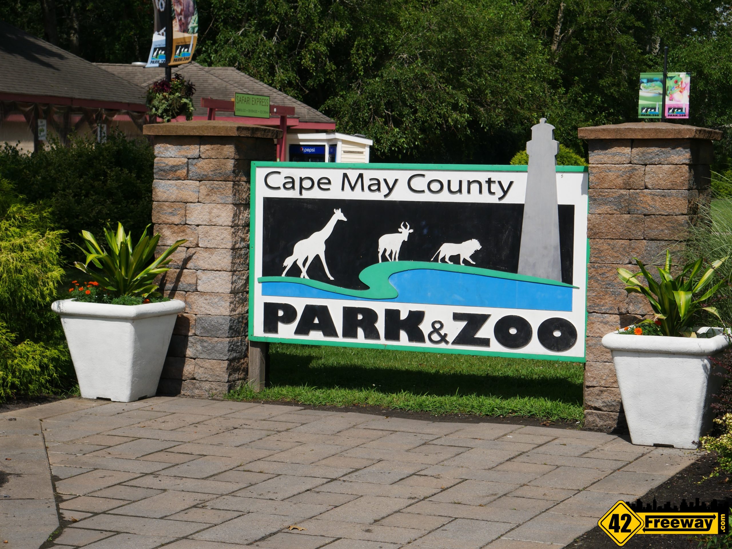 cape may zoo safari