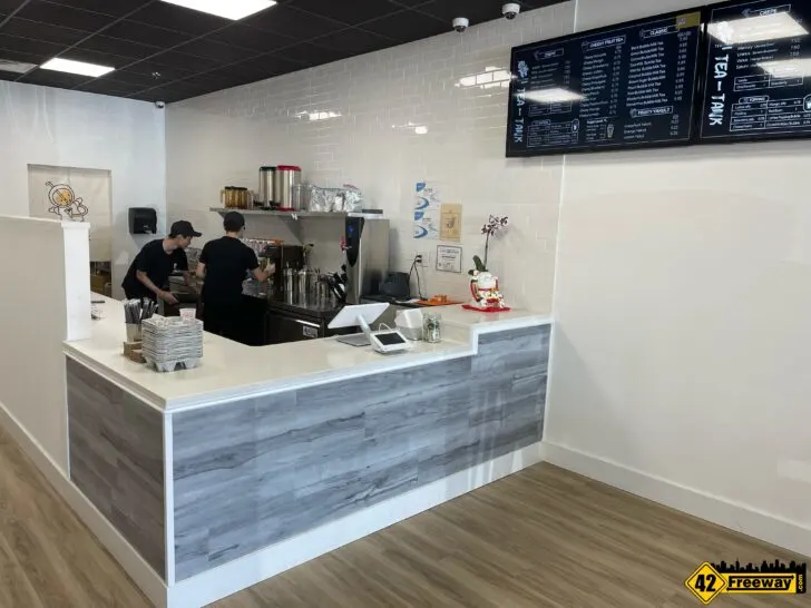Filtro Konic 6 Tea Shop-Tea Shop