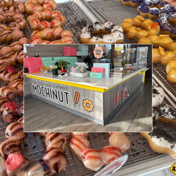 Mochinut? Mochi Donuts and More!  Opened in Voorhees Last Month
