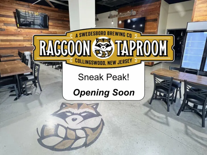 Raccoon Taproom Brewery in Collingswood Sneak Peek Photos.