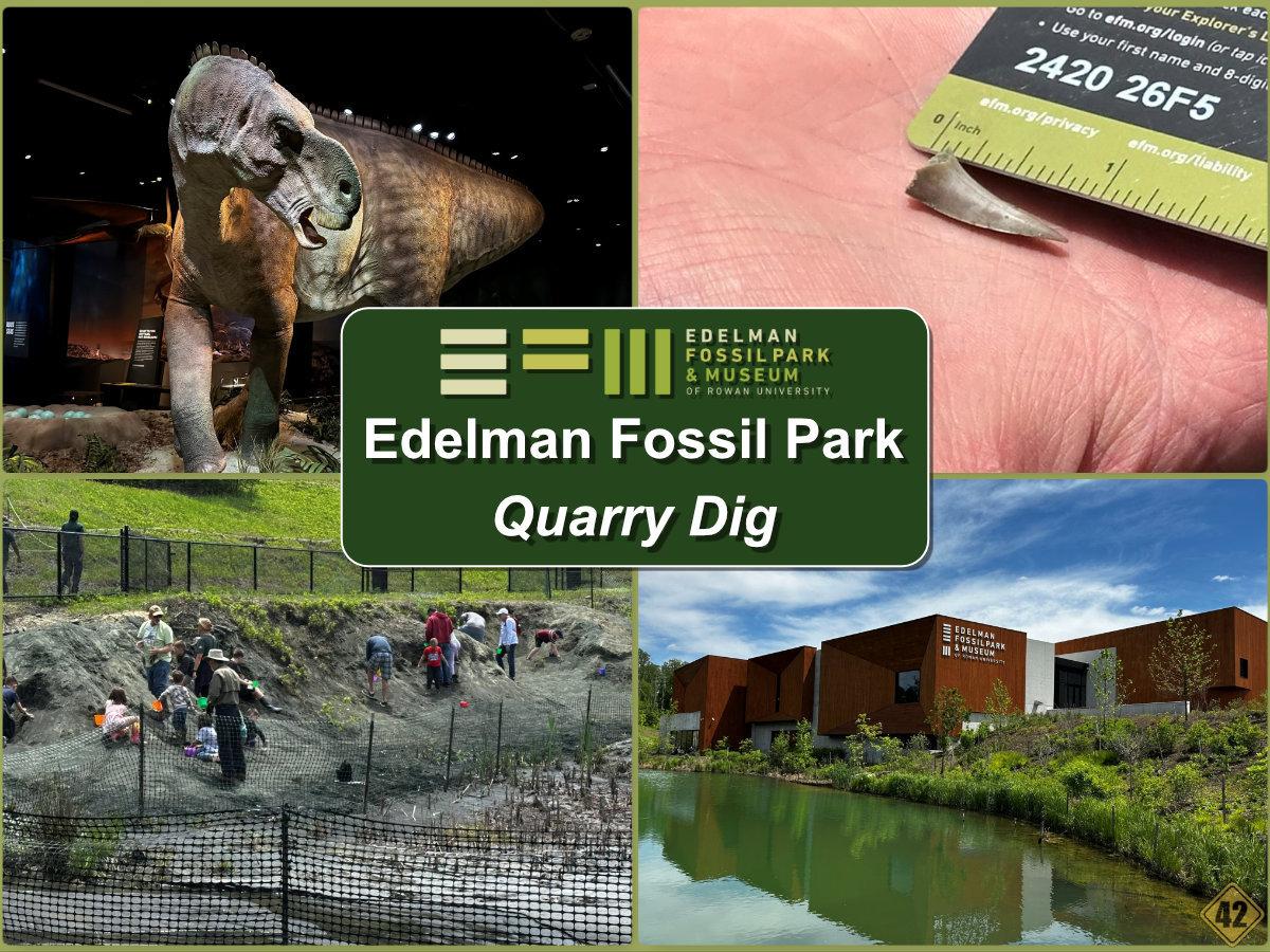 EdelmanFossilParkQuarryDig00.jpg